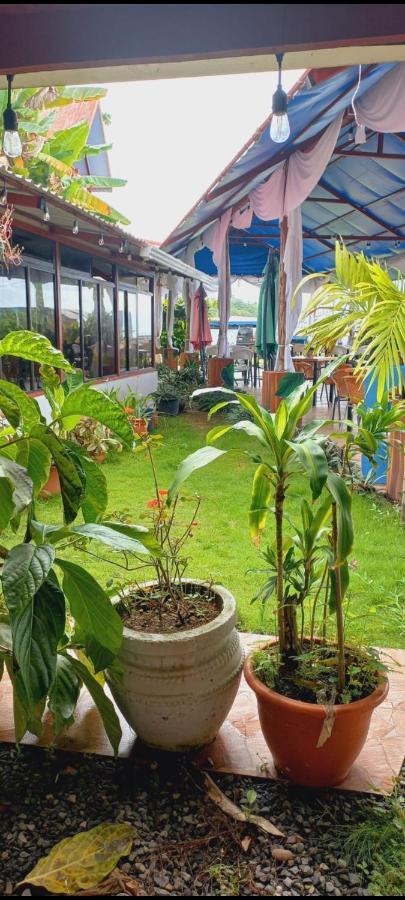 Hotel La Cueva Limon Kültér fotó